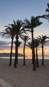 a group of palm trees on the beach at sunset at Levante Frontline Luxury Duplex 5 Bedrooms in Benidorm