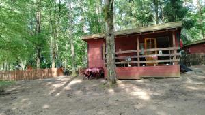 a red cabin with two horses standing outside of it at Oleandria -,,Domek Pokrzywa" in Biskupiec