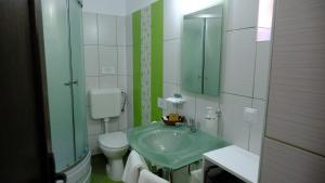 a bathroom with a green sink and a toilet at NAD Inn in Sătic +40 photos