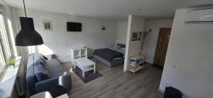a living room with a couch and a bed at Anykščiai Center Apartment in Anykščiai