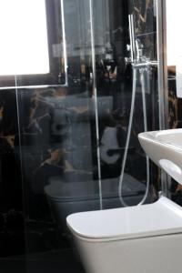 a bathroom with a shower and a toilet and a sink at Hotel Margjokaj2 Velipoje in Velipojë