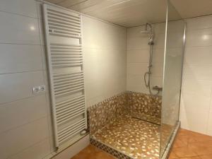 eine Dusche mit Glastür im Badezimmer in der Unterkunft Beetzseeperle in Brandenburg an der Havel