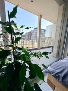 a plant in a room with a large window at Urban Nest Studio - Cloche d'Or in Luxembourg