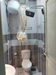 a bathroom with a toilet and a shower at Garden view in Aswan