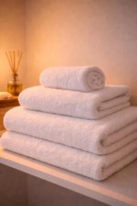 a stack of towels on a shelf in a bathroom at Mulhouse City Loft in Mulhouse +139 photos