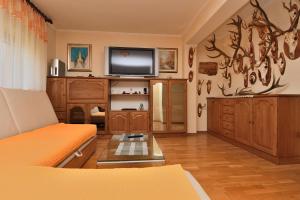 a living room with a couch and a tv at Apartment Tadey in Fužine