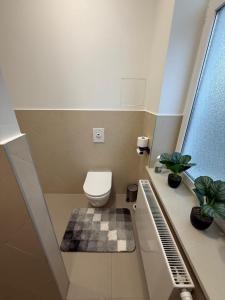a small bathroom with a toilet and a window at Andoniev in Salzelmen