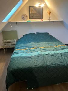 ein Schlafzimmer mit einem Bett mit grüner Bettdecke in der Unterkunft Le studio 99 in Neuville-Saint-Rémy