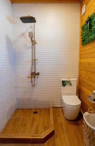 a bathroom with a toilet and a sink at Natural cottage in Saguramo +4 photos