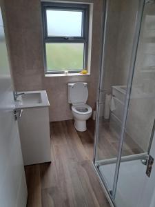 a bathroom with a toilet and a window and a shower at Reek View Accommodation in Westport