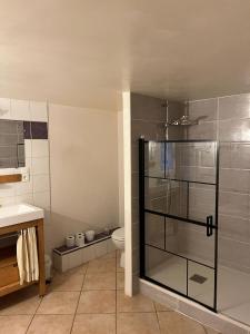 a bathroom with a glass shower and a toilet at Gite Thérèse in Montferrer