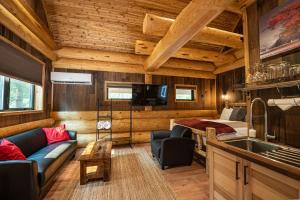 a living room with a couch and a bed in a room at Boulder Mountain Resort in Revelstoke