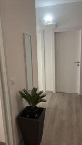 a room with a potted plant and a door at Tourgo Venice in Mestre