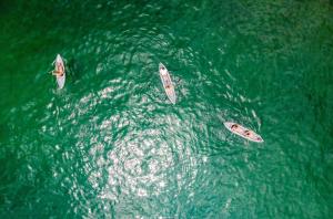 a group of three boats in the water at Fauna in Praia do Bananal