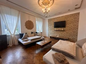a living room with a couch and a tv at Urban Spacious Bright Apartment with DanubeView in Linz