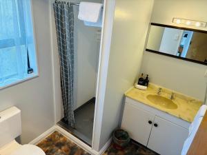 a bathroom with a shower and a sink at Awatea Park Motel in Palmerston North +34 photos