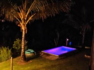 a swimming pool at night with a palm tree at Recanto Lua de Lumiar in Nova Friburgo