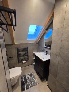 a bathroom with a sink and a toilet and a window at Moderne Dachgeschosswohnung am Wald in Großnaundorf