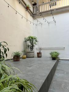 a patio with potted plants and lights on a wall at Hotel Cataviento in Veracruz