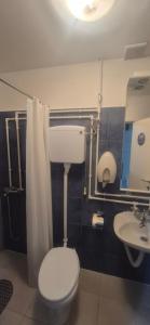 a bathroom with a toilet and a sink at Odmorište Noćko in Valjevo