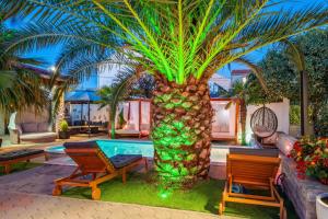 a palm tree in a yard with a pool at Apartments Tomo in Sukošan