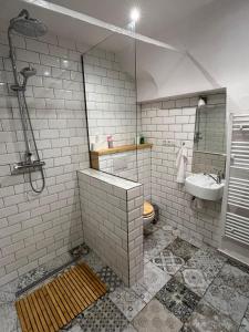 a bathroom with a shower and a sink and a toilet at WildAlps-Apartments in Wildalpen +16 photos