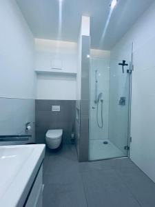 a bathroom with a shower and a toilet at Traum - Apartment mit Spa im Haus in Dortmund +7 photos