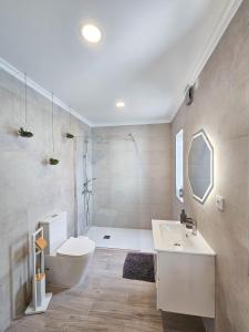 a bathroom with a toilet and a sink and a shower at Friends Place in Praia da Vitória +7 photos