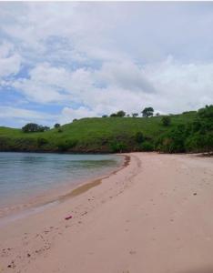 a sandy beach with a hill in the distance at Homestay Komodo Paradise in Pulau Komodo
