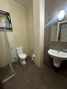 a bathroom with a toilet and a sink at Al Majd Hotel in Amman +28 photos