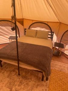 a bedroom with a bed in a tent at Eco Glamping Biosfera - Bahia Turquesa in La Ventana