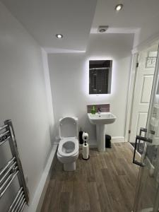 a bathroom with a toilet and a sink at The Shepherd in Hunslet +14 photos