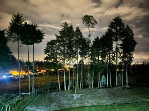 a group of trees in a park at night at Granja Doña Carmelita in Ibarra