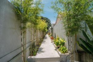 an alley with plants on the side of a building at MaHe Glamping in Kubupenlokan +45 photos