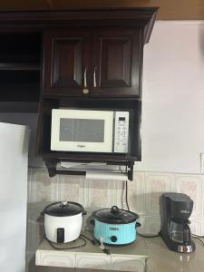 a kitchen with a microwave and two pots and pans at Villa Arenal Volcano & Privade pool in Fortuna