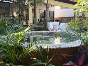 a garden with a bench and a pool in the middle at CASA ALUNA Un refugio para desconectarte in Cuernavaca