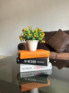 a stack of books with a potted plant on top at Blueka Hostel Ko Chang in Khlaung Phai Bae