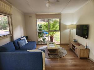 a living room with a blue couch and a tv at Russell Falls Holiday Cottages in National Park