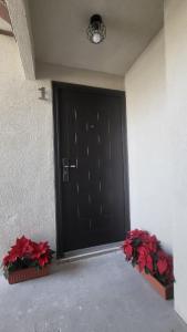 a black door with two red flowers in front of it at Depto Moderno Cerca de AIFA estacionamiento wifi in Santa Cruz Tecamac