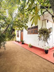 a white house with a red driveway at Ivy Cottage- Midigama in Midigama East