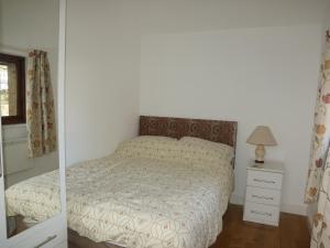 a bedroom with a bed and a lamp and a mirror at Dilly Dally Barn in Holsworthy
