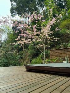 Jardí fora de vihrea
