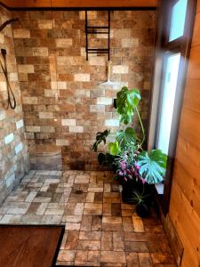 a walk in shower with plants in a room at Twizel Ecostays in Twizel +11 photos