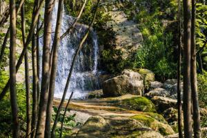 a waterfall in a forest with rocks and trees at Dom na Przedgórzu-Spokojny pobyt blisko górskich tras in Świeradów-Zdrój
