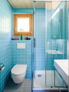 a blue tiled bathroom with a toilet and a shower at Labbrunnu OG in den Walliser Alpen in Rosswald
