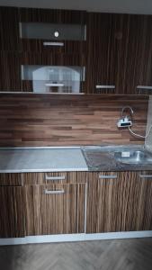 a kitchen with a sink and wooden cabinets at Апартамент Луиза in Varna City