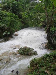 a river with rapids in the middle of a forest at Puluongholiday homestay2 in Làng Chiêu
