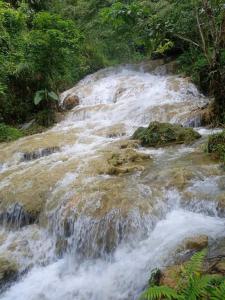 a stream of water with rocks and trees at Puluongholiday homestay2 in Làng Chiêu +17 photos