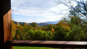 a window with a view of trees and mountains at Chatka Pod Dębem in Rozdziele