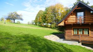 a log cabin in a grassy field next to a building at Chatka Pod Dębem in Rozdziele